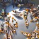 Scientists develop designer clownfish