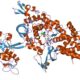 Uncovered: how RNA, amino acids may have linked on early earth