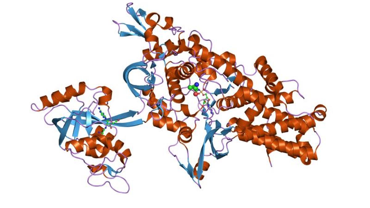 Uncovered: how RNA, amino acids may have linked on early earth