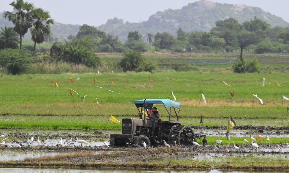 A green advantage in tractor exports