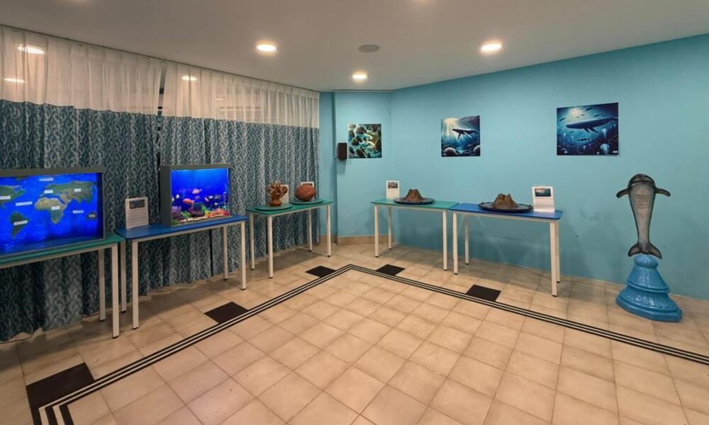 Bringing underwater experience to the visually-challenged, Accessible Science Corner unveiled in Chennai
