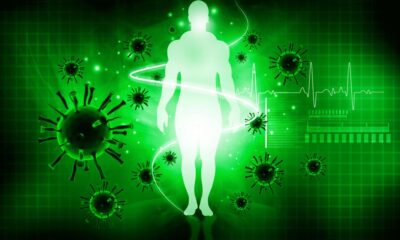 How is the immune system kept in check? | Explained