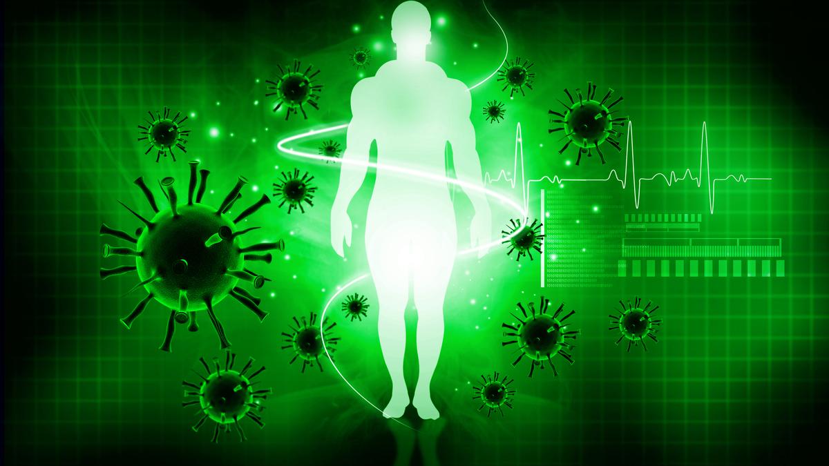 How is the immune system kept in check? | Explained