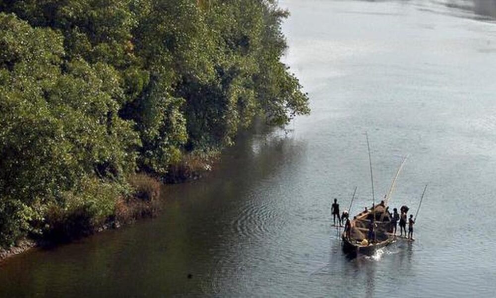 Microplastics threaten Goa’s estuarine fisheries, human consumers