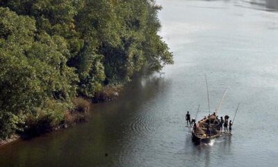 Microplastics threaten Goa’s estuarine fisheries, human consumers
