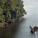 Microplastics threaten Goa’s estuarine fisheries, human consumers