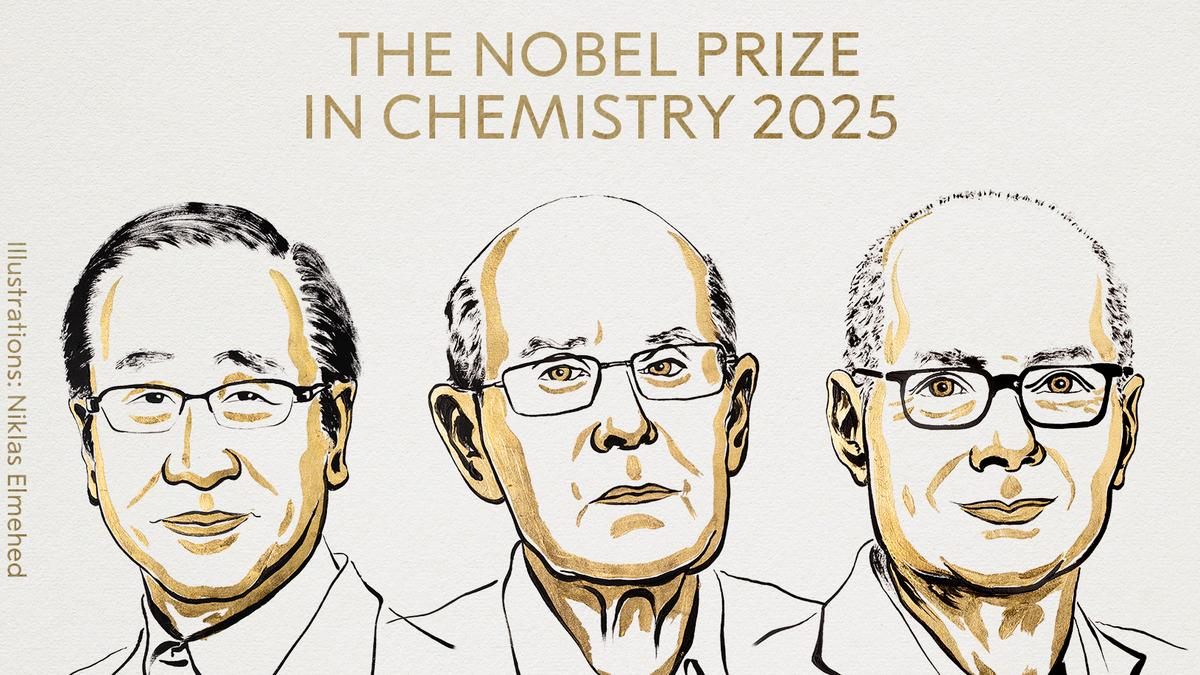 Scientists, spanning continents, win Chemistry Prize for bridging metals and organics