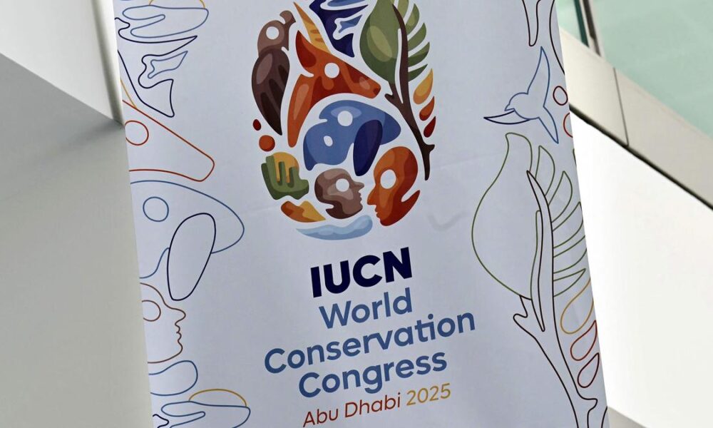 Seals, birds under threat in new 'red list' of endangered species