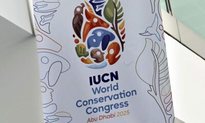 Seals, birds under threat in new 'red list' of endangered species