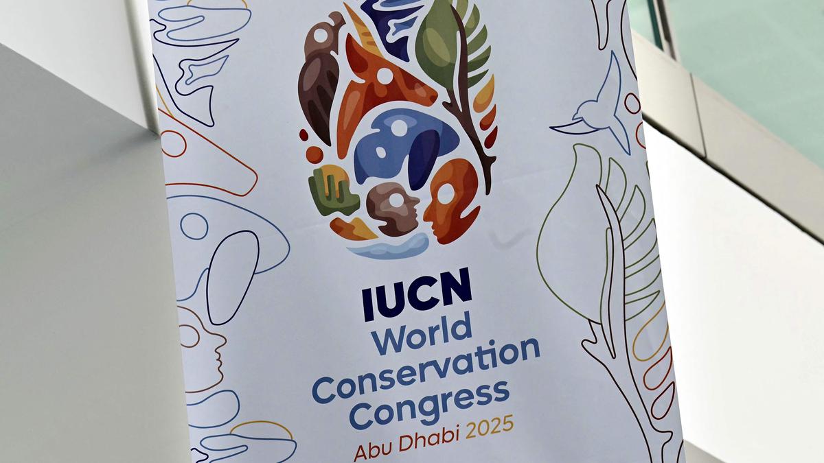 Seals, birds under threat in new 'red list' of endangered species