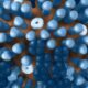 The case to rethink India’s influenza vaccination strategy