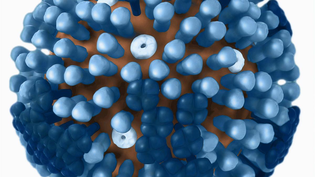 The case to rethink India’s influenza vaccination strategy