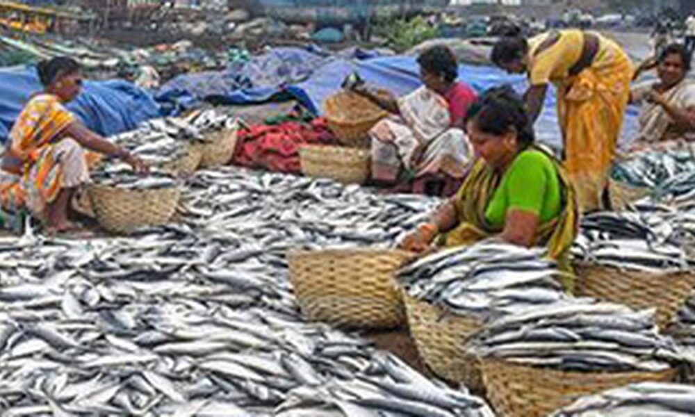 To counter trade ban, fisheries sector eyes new markets with eco-friendly label