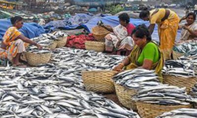 To counter trade ban, fisheries sector eyes new markets with eco-friendly label