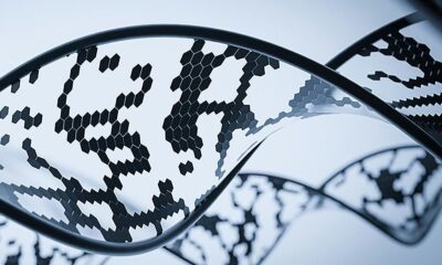 What is xenobiology?