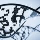 What is xenobiology?