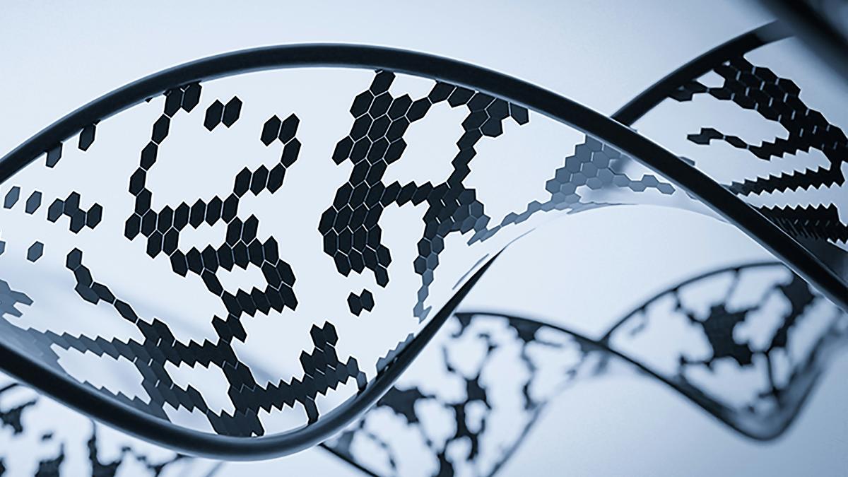 What is xenobiology?