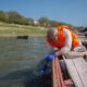 Why is environmental surveillance important? | Explained