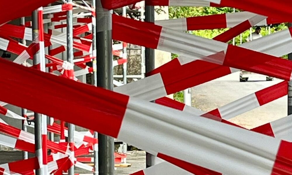 ‘Global South scientists can tip red tape by thinking, working together’