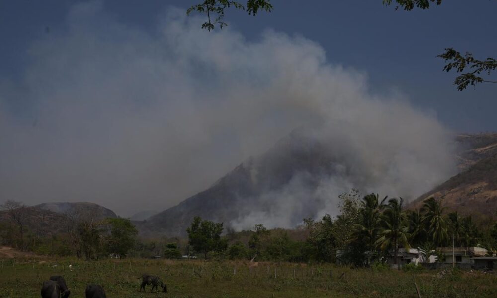 Climate Change and Climate Justice: India’s efforts to balance economic growth with green transition