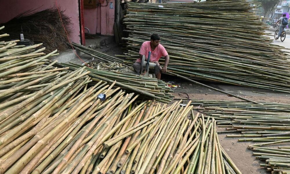 Fossil evidence of bamboo thorniness during Ice Age found in Manipur