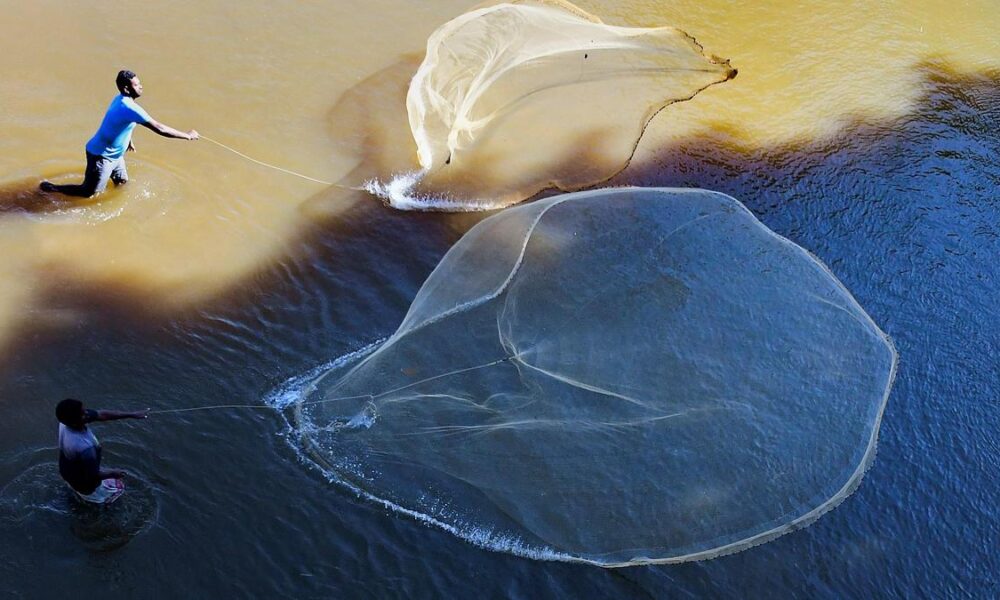 India’s fisheries and aquaculture, its promising course