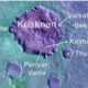 Names proposed by Kerala-based researchers approved for Martian land forms