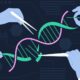 Precision biotherapeutics | Explained