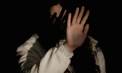 Scientists map neural pathway linking stress to enhanced fears