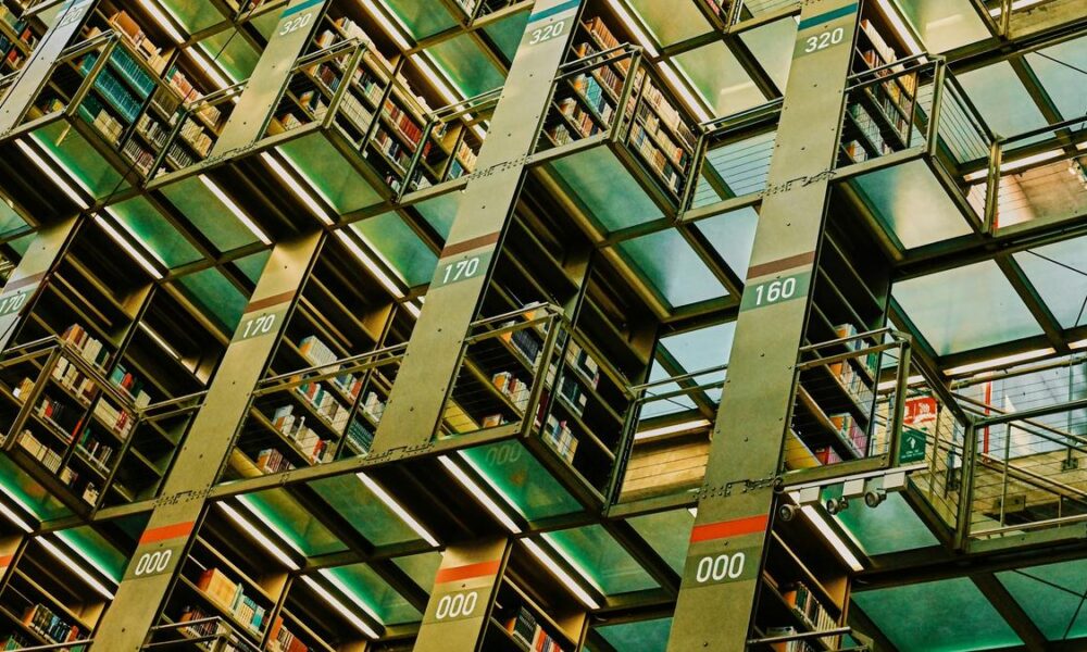 Stanford/Elsevier rank list: why all that glitters is not gold