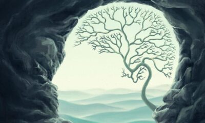 The anxious us: decoding anxiety in contemporary cultures of health