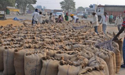 Time to sort out India’s cereal mess