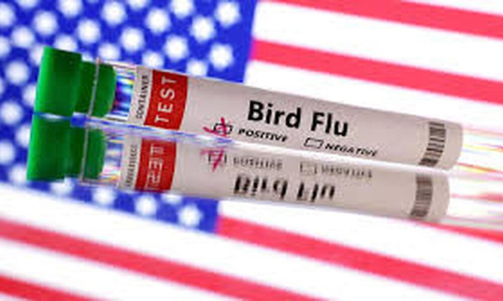 U.S. resident infected with H5N5 — a different type of bird flu