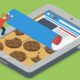 What are cookies (on the internet)?