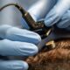 What are the new UNESCO recommendations for neurotechnology use?