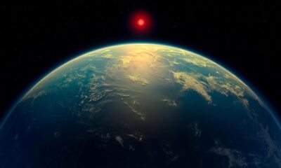 What’s the status of the rare earth hypothesis? | Explained