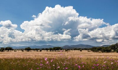 Why do clouds have different shapes?