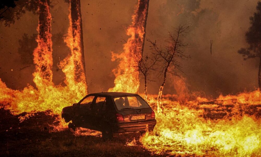 2025 to be second or third-hottest year on record: EU scientists