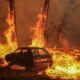 2025 to be second or third-hottest year on record: EU scientists