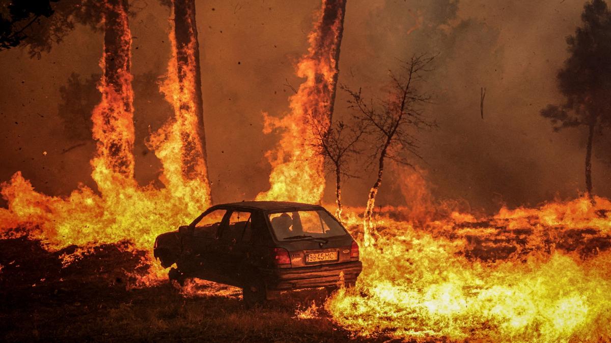 2025 to be second or third-hottest year on record: EU scientists
