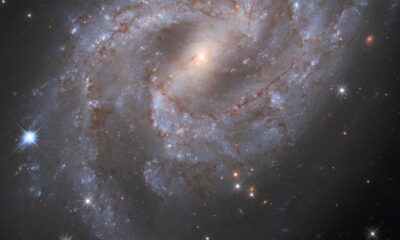 A twist in the tale: are scientists wrong about dark energy?
