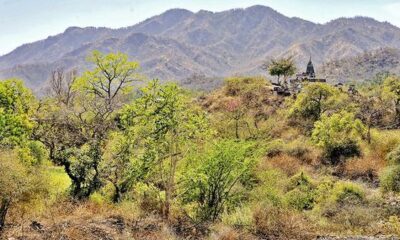 Aravalli question faces the brunt of India’s fondness for ‘strategic exemptions’