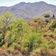 Aravalli question faces the brunt of India’s fondness for ‘strategic exemptions’