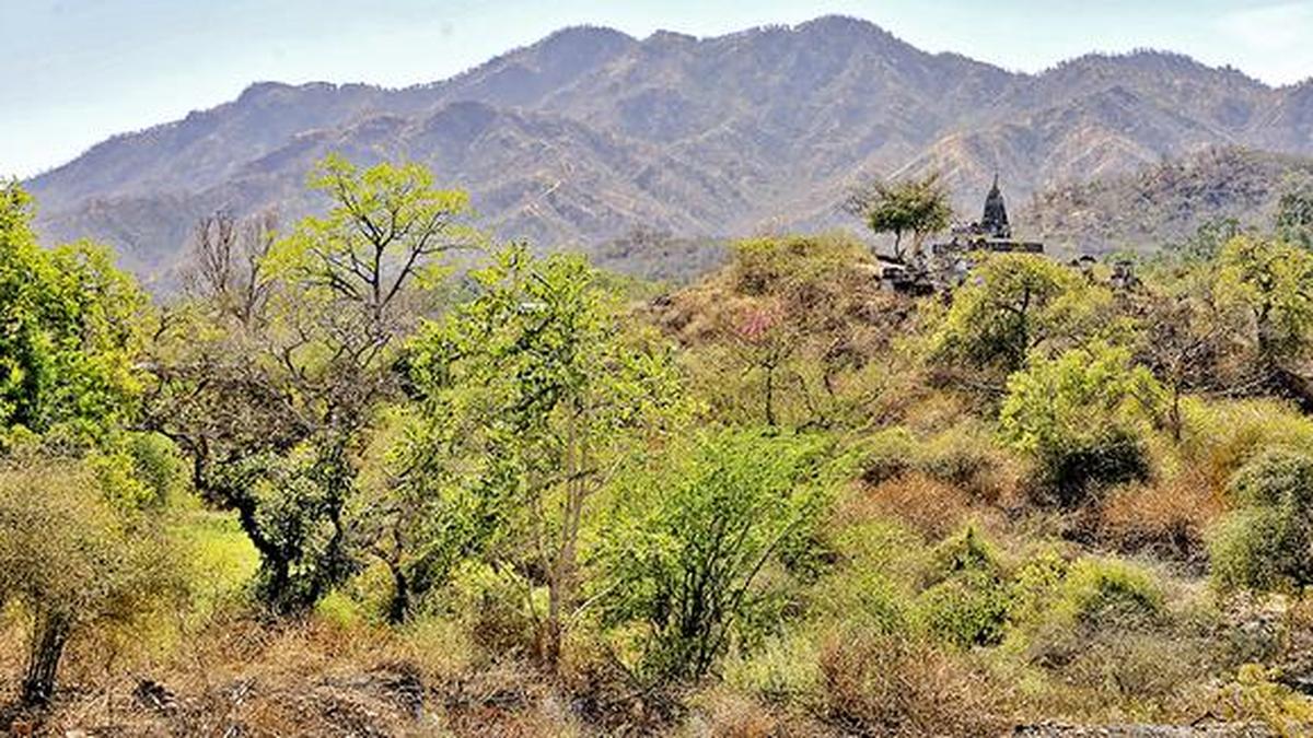 Aravalli question faces the brunt of India’s fondness for ‘strategic exemptions’