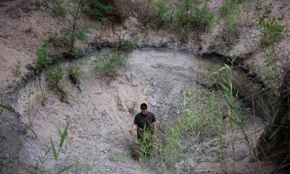 How Central Europe’s ’water guardians’ are fighting desertification
