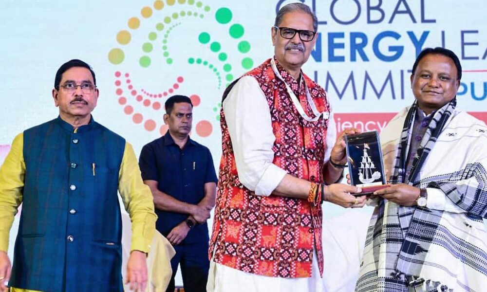 India needs a diversified portfolio of future-ready power system technologies, say experts