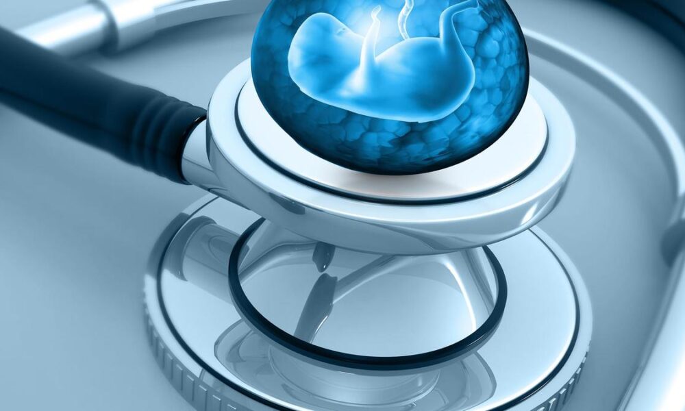 Inside a scientific experiment that transformed skin cells into embryo-forming eggs