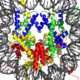 Just five DNA letters flip chromatin from fluid to solid-like state