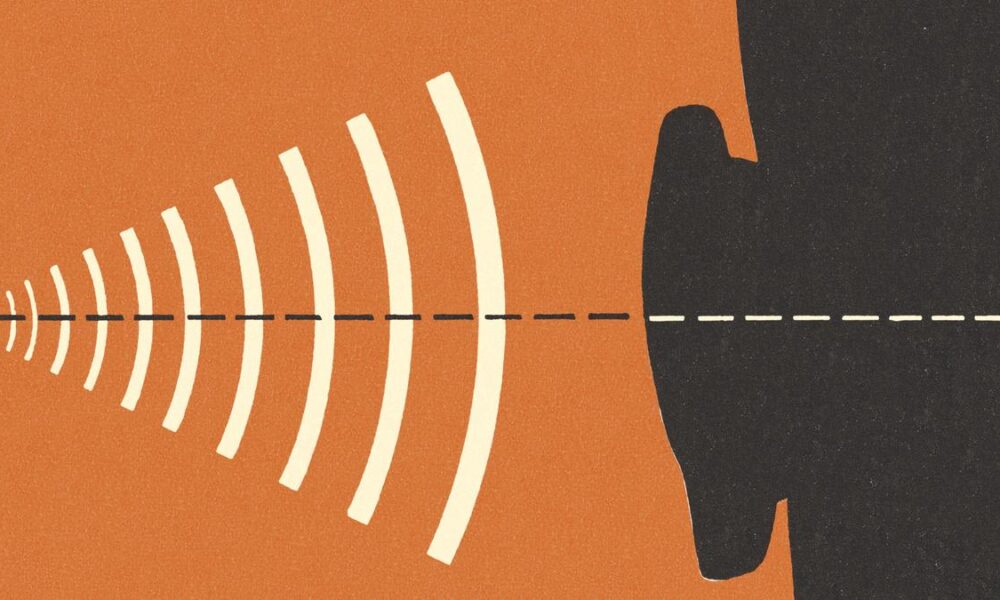 On zoos and magnets: the physics behind sounds