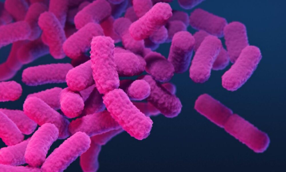 Science quiz: Fighting back against diseases